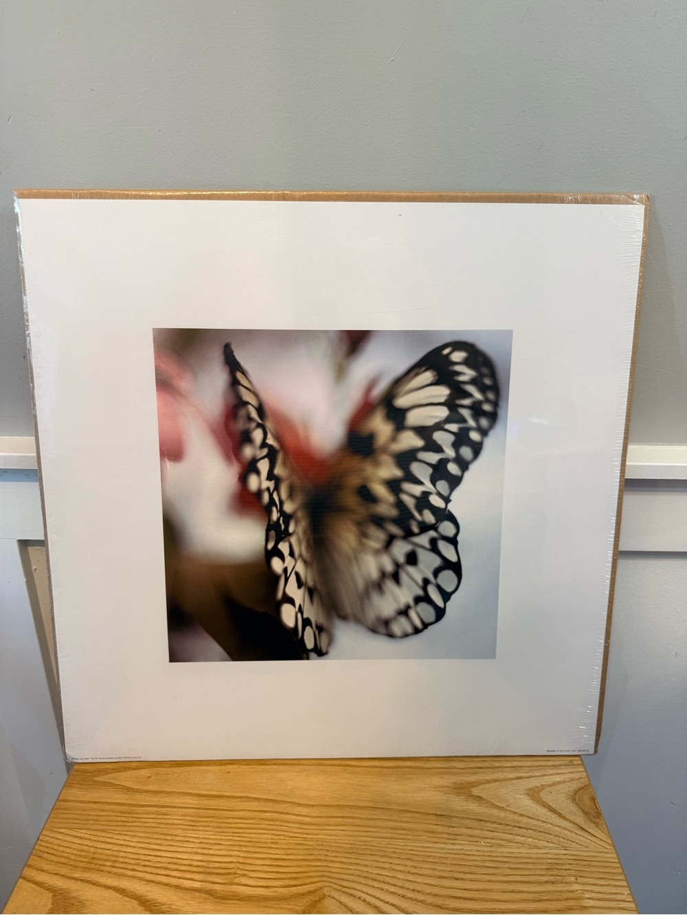 🌿10/$25 • IKEA BILD Butterfly Art Print Picture